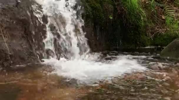 Hermosa Cascada Cerca Video — Vídeos de Stock