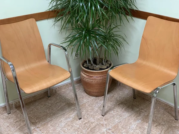 Wooden chairs in the waiting room — Stock Photo, Image