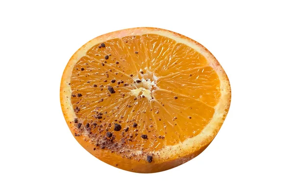 Dusted chocolate orange cut in half isolated on white background — Stock Photo, Image
