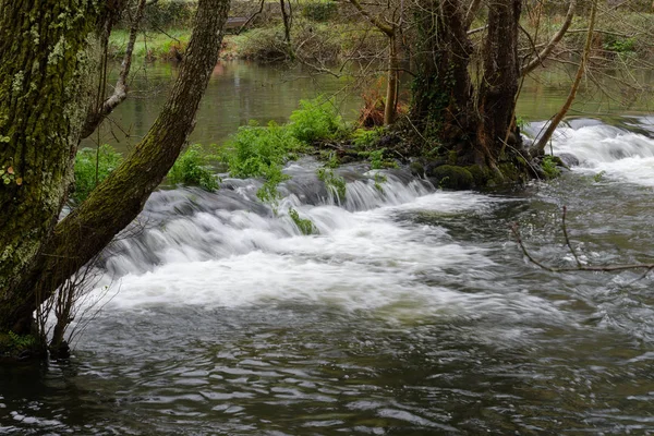 Verschwommenes Bild der Bewegung des Wassers in einem schönen Waldfluss — Stockfoto