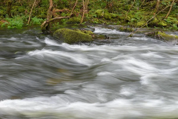 Verschwommenes Bild der Bewegung des Wassers in einem schönen Waldfluss — Stockfoto