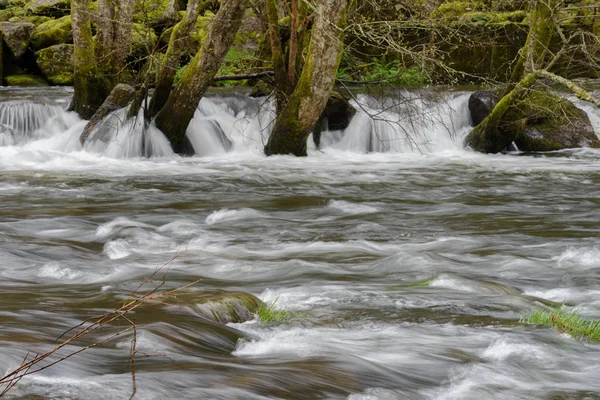 Imagen borrosa del movimiento del agua en un hermoso río del bosque — Foto de Stock