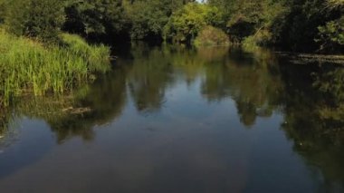 bankalar yavaş hareket boyunca ağaçlar ile güzel nehir manzara