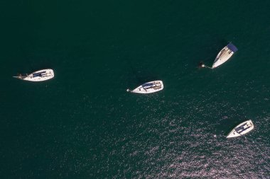 deniz üst görünümünde beyaz yelkenli yatlar 