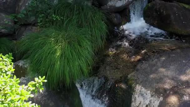 Prachtige Waterval Rivier Close Slow Motion — Stockvideo