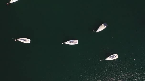 Λευκά Ιστιοπλοϊκά Σκάφη Στη Γαλάζια Θέα Στη Θάλασσα Από Τηλεκατευθυνόμενο — Αρχείο Βίντεο