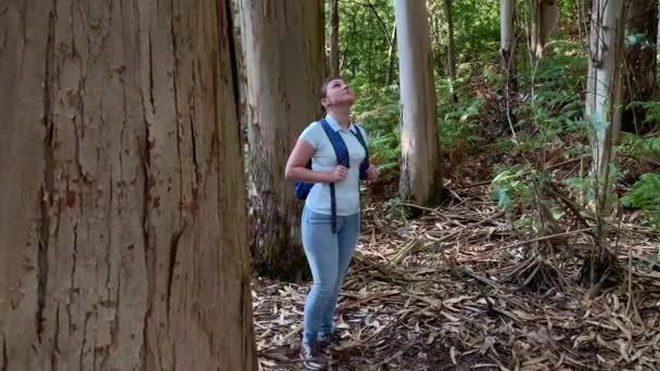 Турист Молодая Женщина Рюкзаком Прогулки Лесу Глядя Вокруг Замедленного Движения — стоковое видео