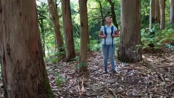 Турист Молодая Женщина Рюкзаком Прогулки Лесу Глядя Вокруг Замедленного Движения — стоковое видео