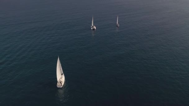 Yachts Voile Blancs Dans Mer Bleue Vue Dessus Vidéo Drone — Video