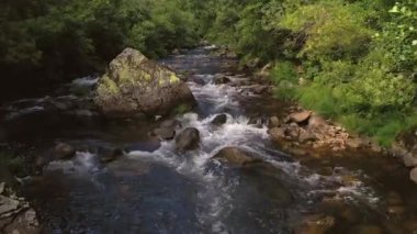  Orman 4k video güzel dağ Nehri