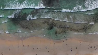 drone Lanzada plaj Galicia Ispanya 4k video su görünümünde insanlar banyo ile okyanus dalgaları kumlu plaj