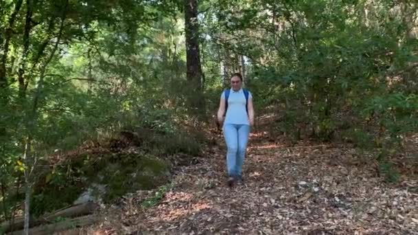 Vandrare Kvinna Med Ryggsäck Promenader Skogen Slow Motion — Stockvideo