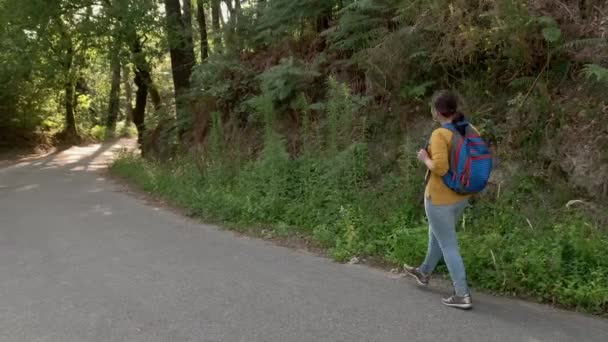 Vandrare Kvinna Med Ryggsäck Promenader Skogen Slow Motion — Stockvideo