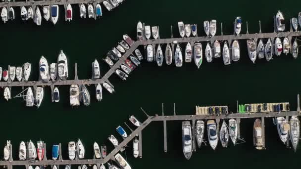 Iates Brancos Cais Porto Vista Aérea Drone Vídeo — Vídeo de Stock