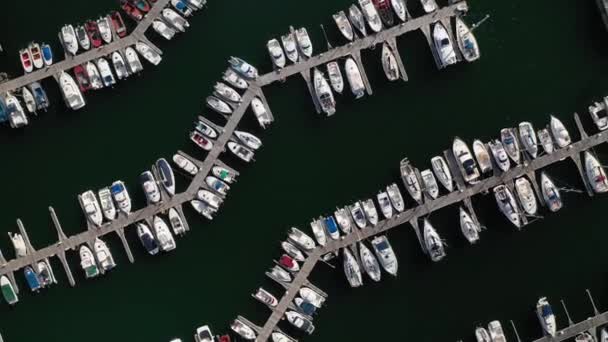 White Yachts Berths Seaport Aerial View Drone Video — Stock Video