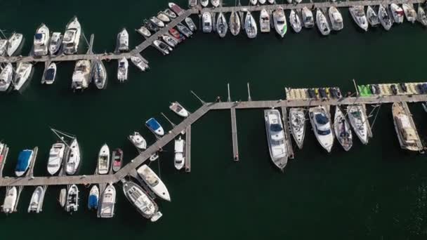 Белые Яхты Причалах Морском Порту Вид Воздуха Беспилотника Видео — стоковое видео