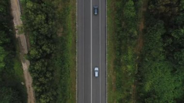 Drone'dan Yaz Manzarasında Yeşil Yaz Ormanı'ndan Ülke Yolu'nun Üstünden Havadan Görüntü