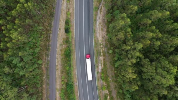 Vista Aerea Dall Alto Della Strada Campagna Attraverso Foresta Verde — Video Stock