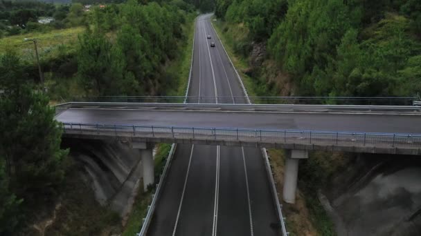 Vista Aérea Cima Estrada País Através Floresta Verde Verão Vista — Vídeo de Stock