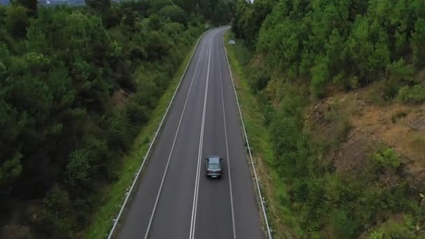 Vista Aérea Cima Estrada País Através Floresta Verde Verão Vista — Vídeo de Stock