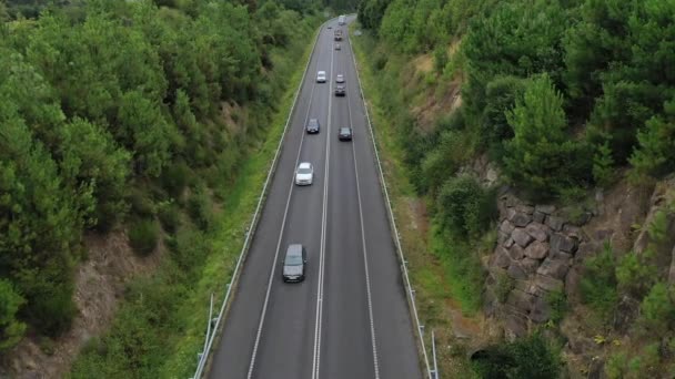 Vista Aérea Cima Estrada País Através Floresta Verde Verão Vista — Vídeo de Stock