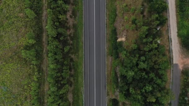 Вид Сверху Сельскую Дорогу Через Зеленый Летний Лес Беспилотника — стоковое видео
