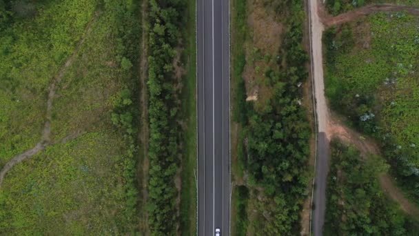 ドローンから見た夏の緑の夏の森を通る田舎道の上空からの眺め — ストック動画