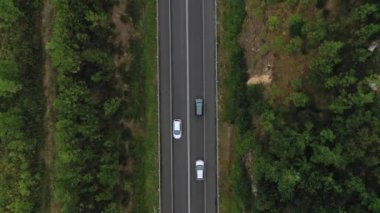Drone'dan Yaz Manzarasında Yeşil Yaz Ormanı'ndan Ülke Yolu'nun Üstünden Havadan Görüntü