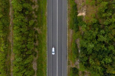 Yeşil bir orman dan bir ülke yol yukarıdan havadan görünümü