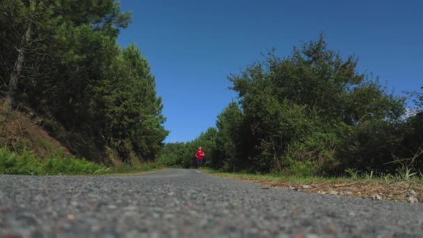 Mladá Žena Běžíc Cestě Lese — Stock video