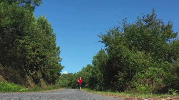 Ung Kvinna Jogging Vägen Skogen — Stockvideo