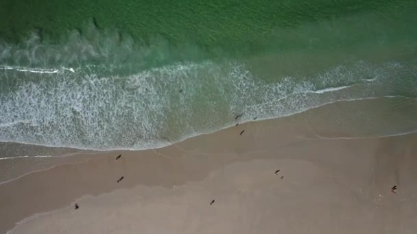 海の波 海岸に沿って歩く人々と砂浜 カルノータビーチ ガリシア スペイン — ストック動画
