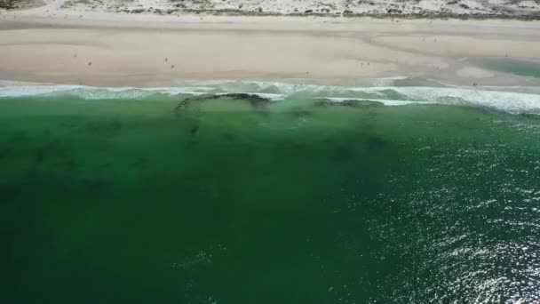 Fale Oceanu Piaszczysta Plaża Ludźmi Spacerami Wzdłuż Brzegu Carnota Beach — Wideo stockowe