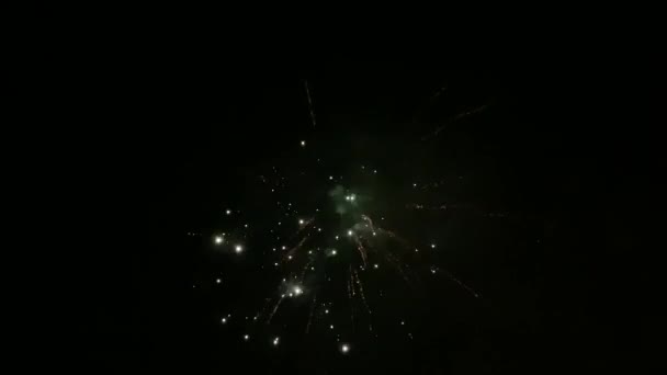 Feux Artifice Dans Ciel Nocturne Ralenti — Video