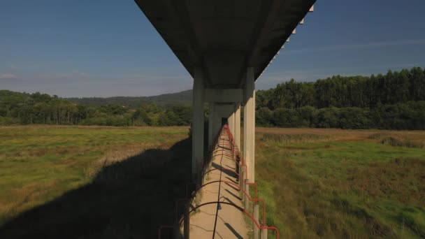 桥的混凝土支撑物 桥的底部视图 — 图库视频影像