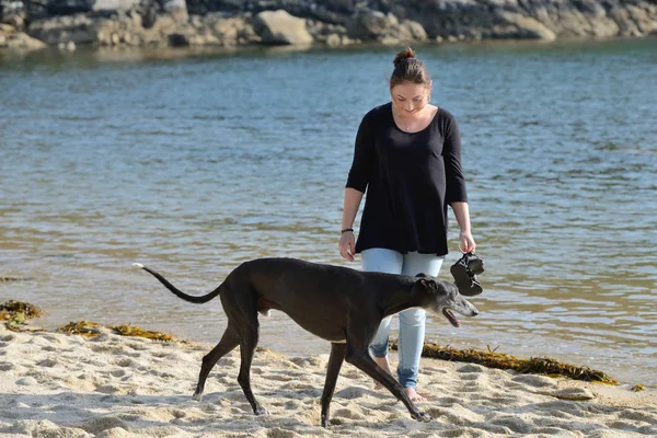 Молодая женщина гуляет с собакой вдоль пляжа — стоковое фото