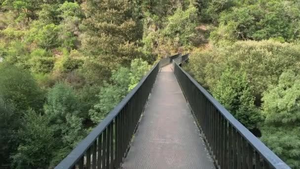 高山峡谷中的一座河上的步行桥 — 图库视频影像