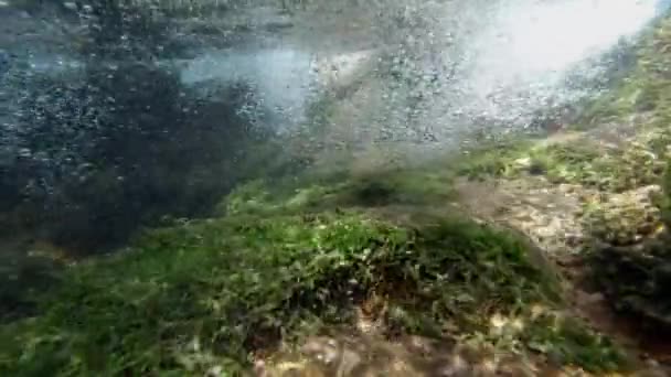 在清澈透明的水中 从小河瀑布和水下植物的水下观看 — 图库视频影像