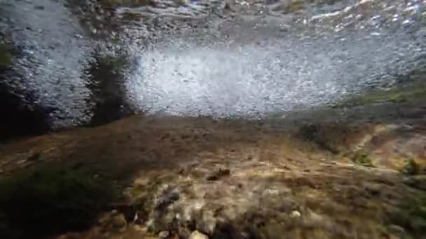 Blick Unter Das Wasser Eines Kleinen Flusswasserfalls Und Unterwasserpflanzen Klarem — Stockvideo