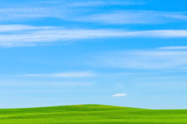 Mavi gökyüzüne karşı yeşil çimen tarlası, güzel güneşli bir manzara.