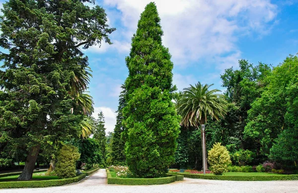 stock image Santiago de Compostela, Galicia, Spain, stone staircase in the Alameda Park, view from the back of the park