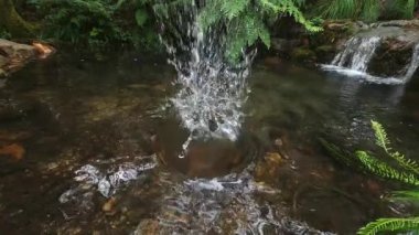 Her yere su sıçrayan bir taştan bir damla su, ormandaki küçük bir şelale.