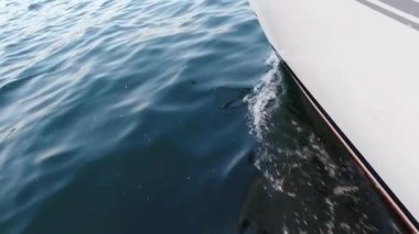 Pruvadaki yatın güvertesinden bak, yaklaş. Yeşil deniz ve dalgalarla yan manzara. Kavram, yaşam tarzı ve özgürlük. Yavaş çekim