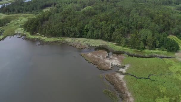 Widok Lotu Ptaka Szybki Dron Przelatujący Nad Wodą Nad Wierzchołkami — Wideo stockowe