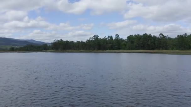 空中からの眺め高速ドローンが川の水の上を飛んでる緑の木々が海岸にある美しい自然の風景 — ストック動画