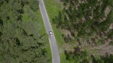 Yeşil bir ormanda, yolda giden gri bir arabanın hava görüntüsü, arabanın üzerinden uçan bir dronun görüntüsü, yukarıdan görüntüsü.