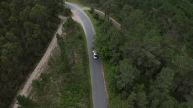 Yeşil bir ormanda, yolda giden gri bir arabanın hava görüntüsü, arabanın üzerinden uçan bir dronun görüntüsü, yukarıdan görüntüsü.