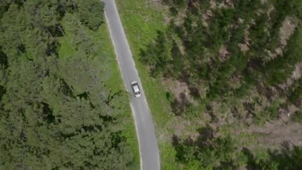 緑の森の中の道路を飛行中の無人機から車に向かって撃たれた灰色の車の空中ビュー上からの眺め — ストック動画