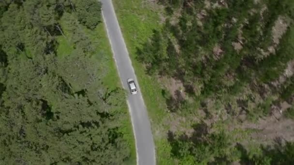 Vista Aérea Coche Gris Que Conduce Una Carretera Bosque Verde — Vídeo de stock