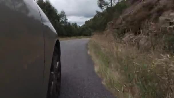 森のアスファルトの道路に沿って運転する車の前輪のビュー 低角度ショット スピニングホイールのクローズアップ — ストック動画